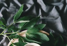 ‘소모임 금지 해제’와 그에 따른 금요 기도모임 공지