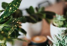 7월 5일 주일 본문, 관찰 연구 질문 공개