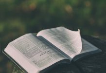 8월 2일 주일 말씀, 더깊은 성경 연구 질문들