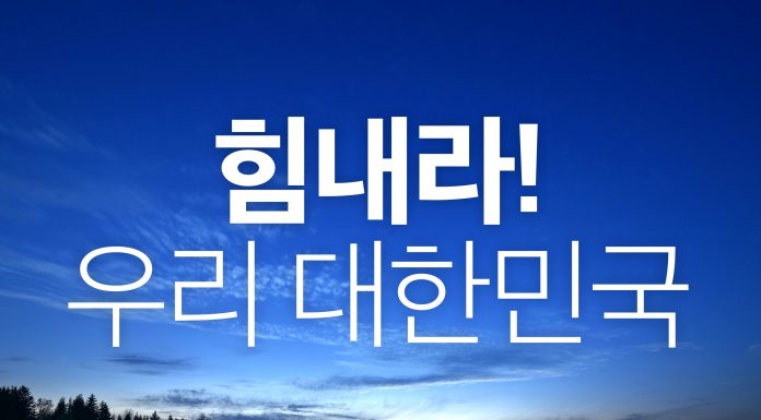 힘내라 대한민국