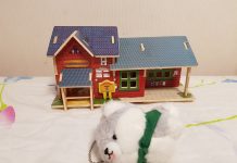 자녀들 교재 겸 놀이감을 선물했습니다