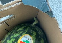 코로나 4차 유행과 무더위 속에 지친 성도들을 위로 했습니다