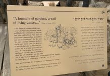 “져야만 승리하는 신비”