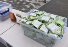 한 겨울, 전도 중입니다