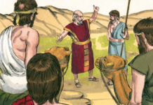 “그리스도인의 당당함”