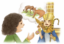 “풍년으로 흉년을 보낸다”