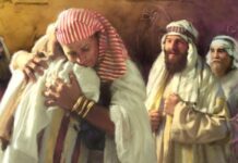 “창세기의 마침표, 용서”