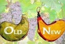 “새로운 금식”