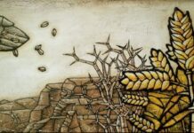 “좋은 땅에 심겨진 것”