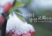 미리보는 12월 13일 주보