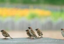 “세상이 두렵지 않은 이유”