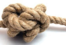 “풀어주시다”