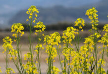 “기대를 부수고 임재하는 하나님 나라”