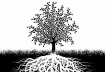 “뿌리째 뽑아 바다에 심기”