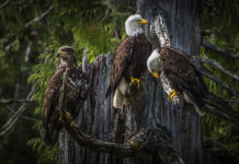 “하나님 나라를 보지 않는 사람들과 인자의 날을 보지 않을 사람들”