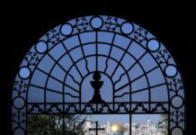 “눈물 흘리는 공감의 왕”