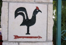 “닭 울 때 마주친 눈빛”