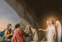 “겸손한 증인”