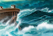 “폭풍에서 드러난 은혜”