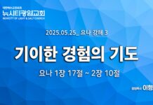 “기이한 경험의 기도” _(욘1:17-욘2:10) _25.05.25 _요나 강해 3