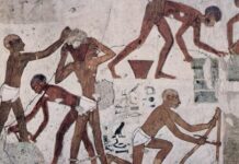 “고난 속에서 빛나는 하나님의 신실하심”