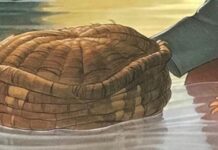 “연약한 계획을 완전하게 하시는 하나님”