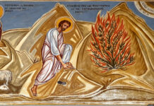 “타버리지 않고 타오르는 인생”