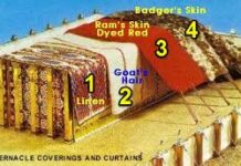 “하나님이 우리와 함께 하심을 경험하는 증거”