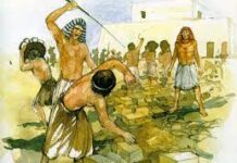 “짚을 주지 않겠다”