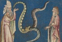 “누가 증명해야 하는가”