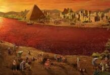 “생명을 살리는 피”