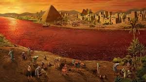 “생명을 살리는 피”