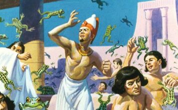 “개구리 대신 덮어주실 은혜”