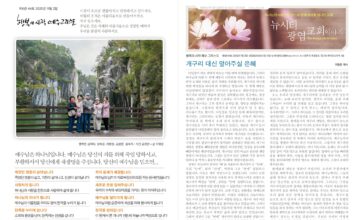 미리보는 11월 2일 주일 주보