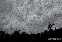 “절망의 흑암속에서 생명의 빛으로”