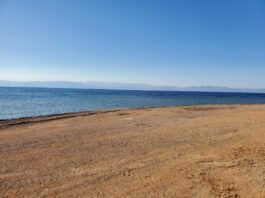 “돌아서 가는 길”