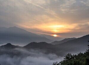 “오른손에 맞닿은 그늘”