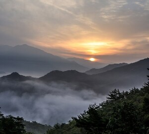 “오른손에 맞닿은 그늘”