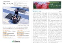 미리보는 2월 1일 주일 주보