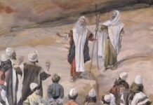 “스스로 재판하게 함”